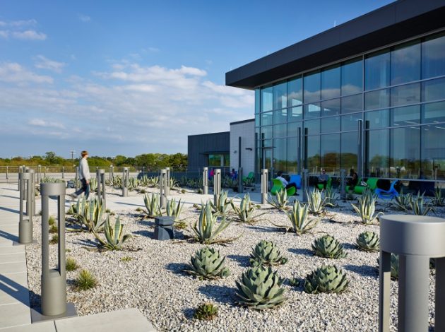 NewMainLibraryGoodwood_Img5